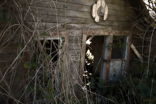 old house-rustic-rural-photography-abandoned-SwittersB