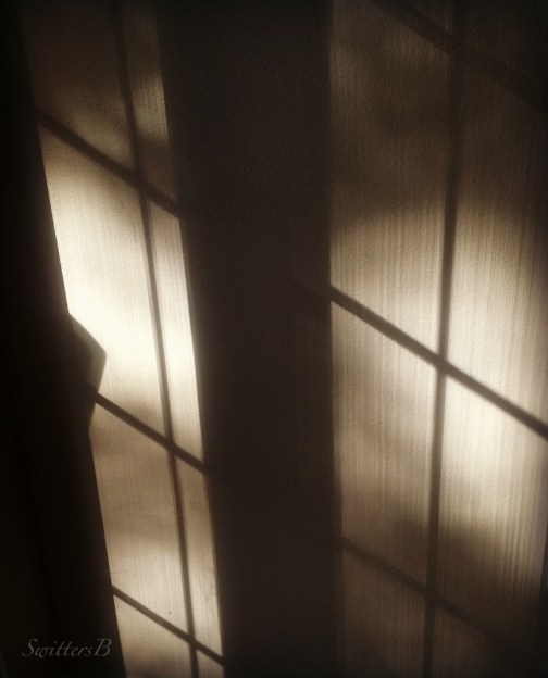 privacy-shadows-window-photography-SwittersB