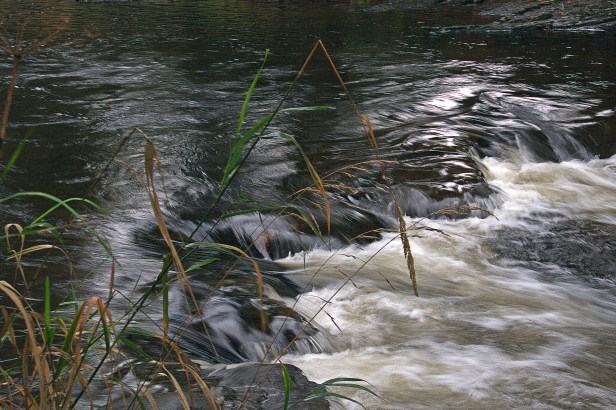 rapids broken topIMG_6021raw