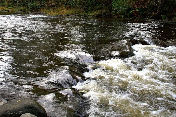 River lower shelf 4-SwittersB