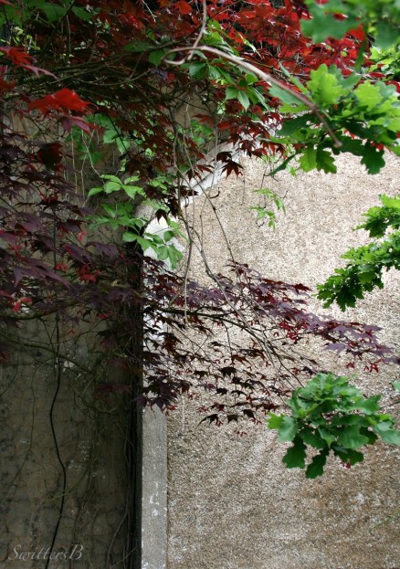 Behind+SwittersB+Phogography-Rustic Wall-Vines