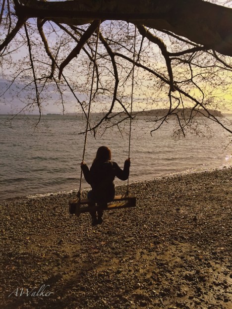 Besa-Alex Walker-swing-Gig Harbor-Washington-Photography-SwittersB