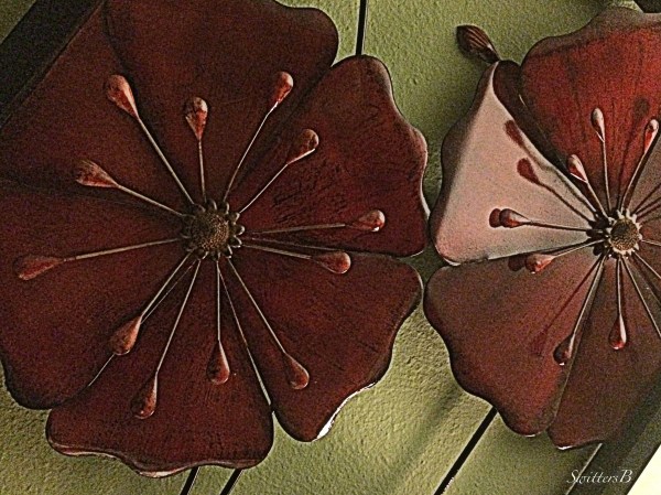 blooming-flowers-life-blossom-photography-SwittersB