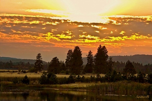 bright light-Oregon-photography-lake-SwittersB