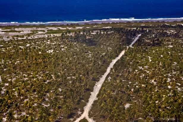 Christmas Island-undeveloped-palm trees-island-Pacific-Kiritmati-SwittersB-Photography-aerial