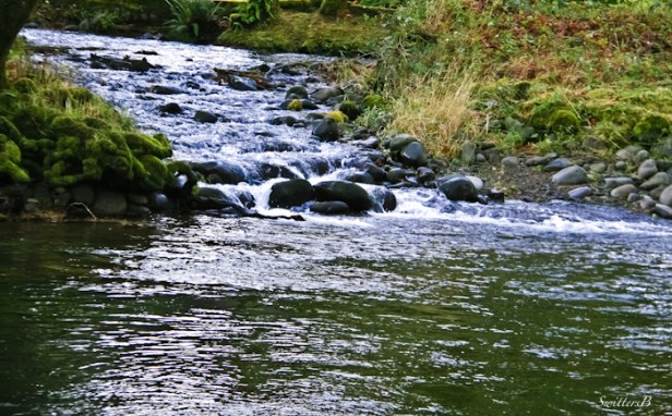 creek+river-Oregon-water-photography-SwittersB