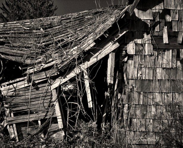 disrepair-old house-rural-oregon-SwittersB-photography