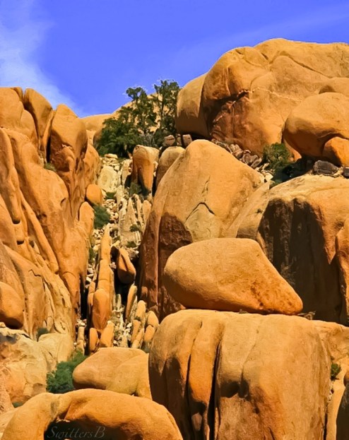 Draw+Joshua Tree Park-Rock Formations-SwittersB-photography