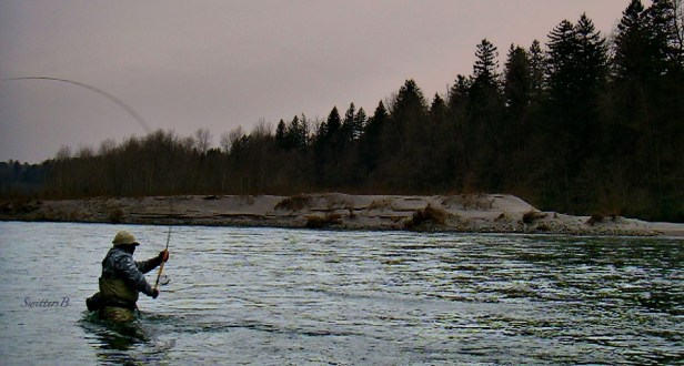™ Spey SwittersB-Winter-Two hander-fishing-steelhead-Oregon