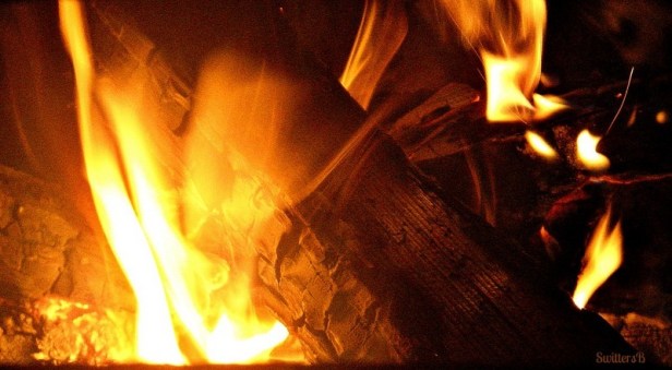 Flames Camping SwittersB Photography