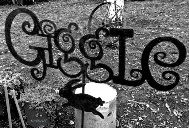 giggle-yard art-garden-laughter-health-photo-SwittersB