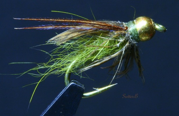 green + BH pupa-fly tying-SwittersB-macro photography