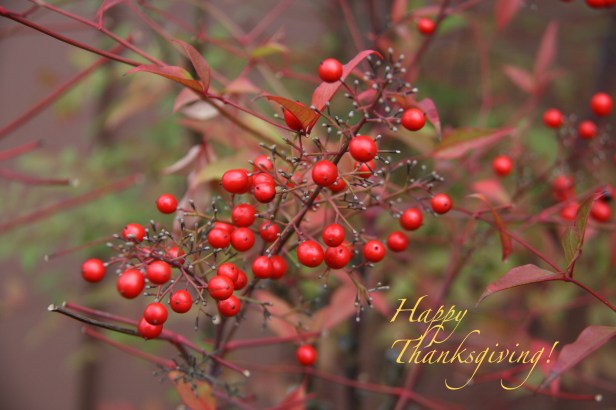 Happy Thanksgiving 2014-SwittersB