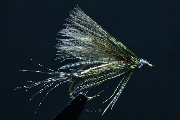 Oracle+Fly Pattern-SwittersB-flyfishing-macro photography