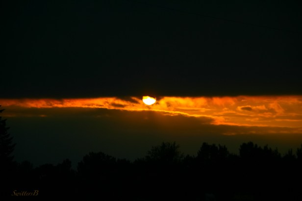 Setting sun+dark clouds-sun-photography-SwittersB