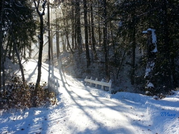 snow+Oregon-woods-bridge-photography-TMuncy-SwittersB