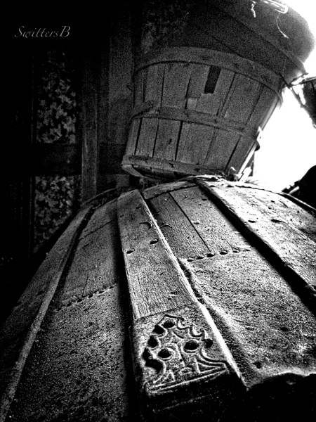 the shed+old trunk-SwittersB-photography-memories