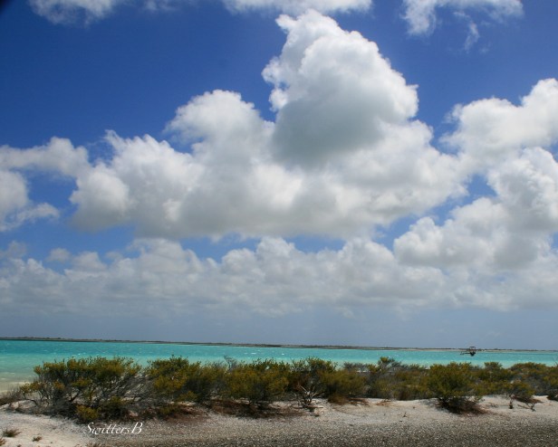 Christmas Is-aqua-flat-boat-sky-SwittersB
