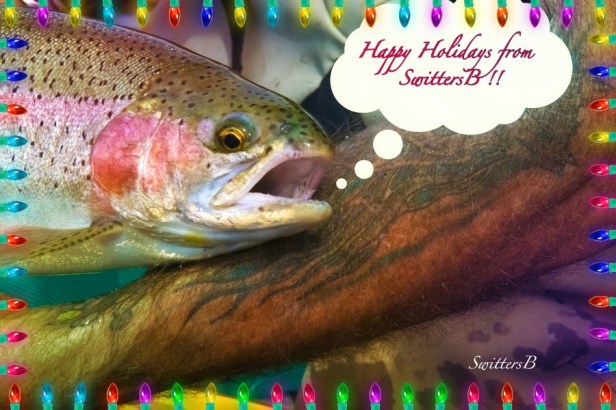 Happy Holidays SwittersB