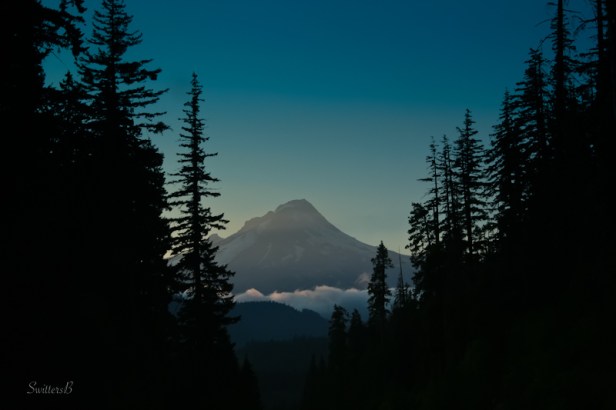 Mt. Hood+Oregon-SwittersB-Photograpy-Cascades
