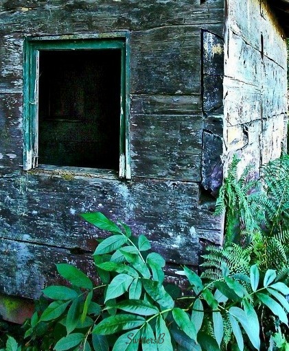 old cabin+Oregon-planks-interlocked-photography-SwittersB