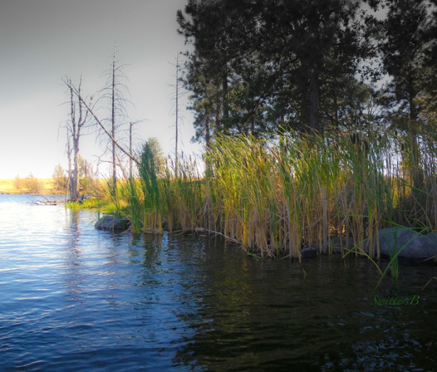 shade-lake-shelter-Oregon-photography-SwittersB