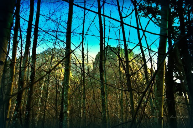 alders-cascades-Gorge-Oregon-SwittersB-