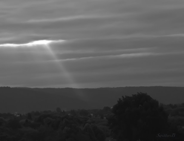 beam-Portland-light-Oregon-SwittersB