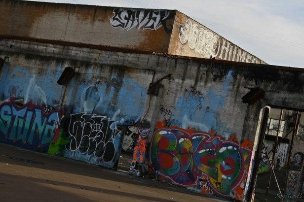 boco-graffiti-pop-art-tagging-Portland-SwittersB