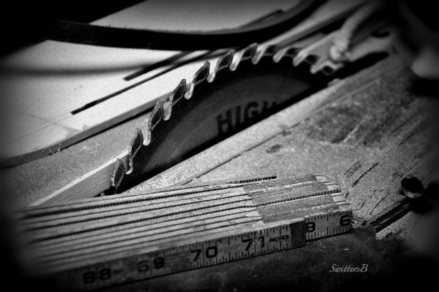 table saw, carpenter, shop, SwittersB