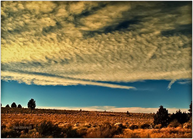 High Desert-Oregon-SwittersB