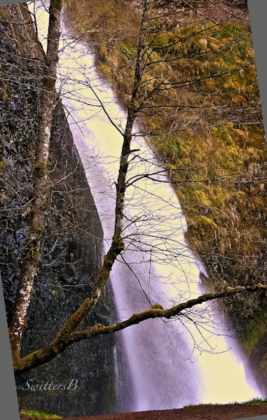 Horsetail Falls-Oregon-waterfall-Gorge-Swittersb