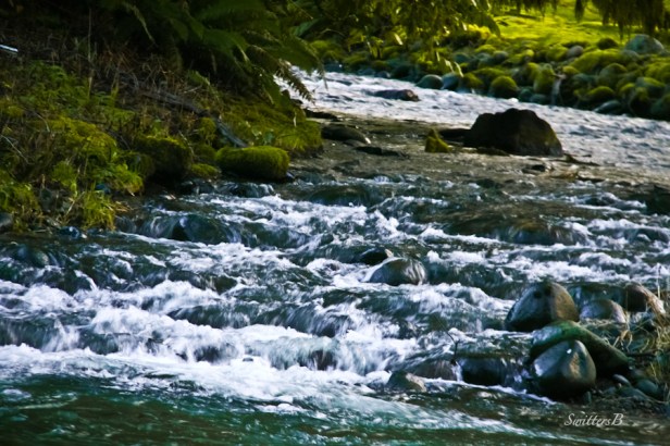 rapids-Oregon-stair steps-river-salmon-Oregon-SwittersB-photograhy