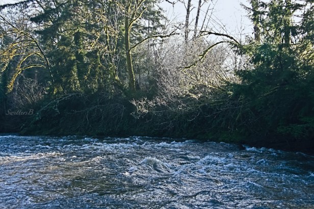 river-rapids-low sun-Oregon-SwittersB