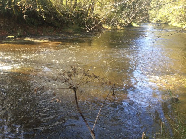 slow flow-river-Oregon