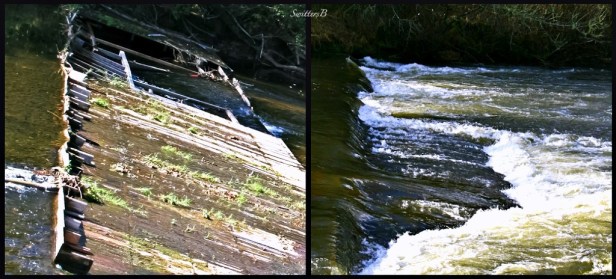 spillway-fish-Salmon River-Oregon-fish habitat-photography, SwittersB