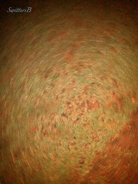 spinning ball, photography, swirl design, SwittersB