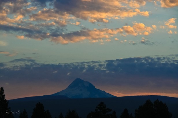 Mt. Hood-Oregon-SwittersB