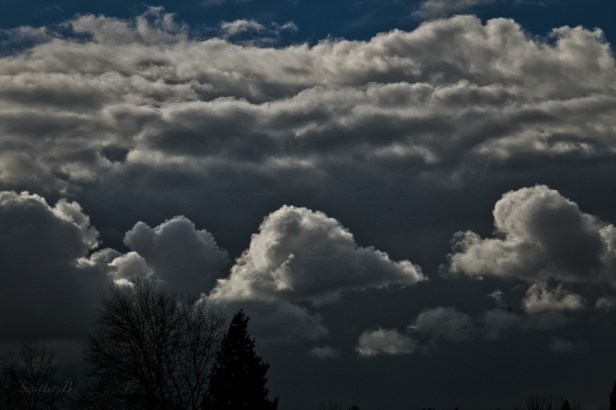 puffy clouds-Spring-Oregon-dark clouds-SwittersB
