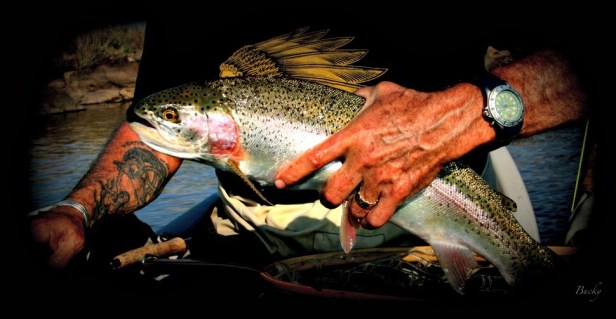 rainbow trout-Oregon-release-indian shirt-SwittersB-Bucky