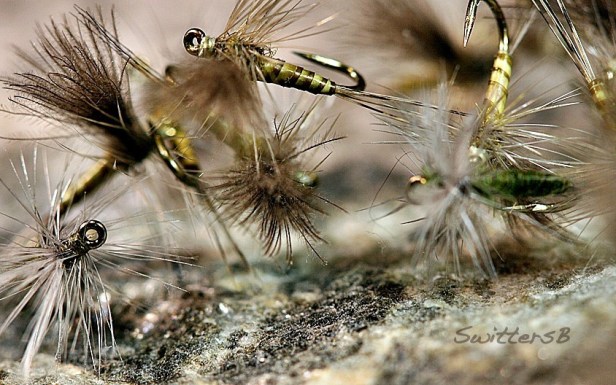 Dry Flies-Macro-Fly Tying-Photography-SwittersB