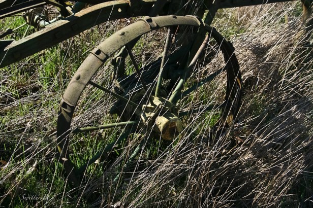 farm-implement-wheel-rustic-Oregon-SwittersB