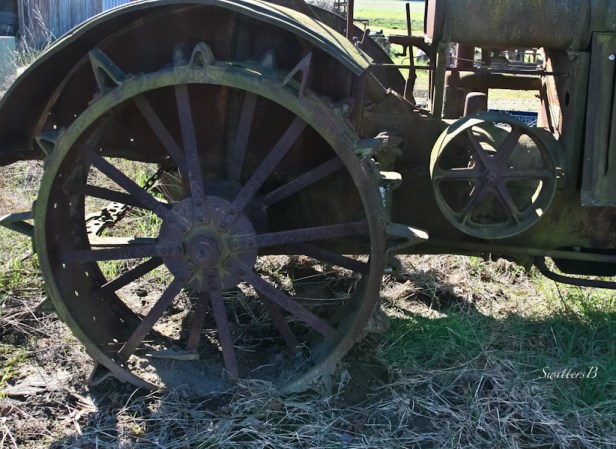 farm wheel-Oregon-rural-Oregon-SwittersB
