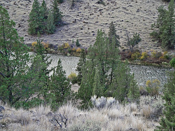 game trails--Dechutes River-Foley Water-Oregon-SwittersB