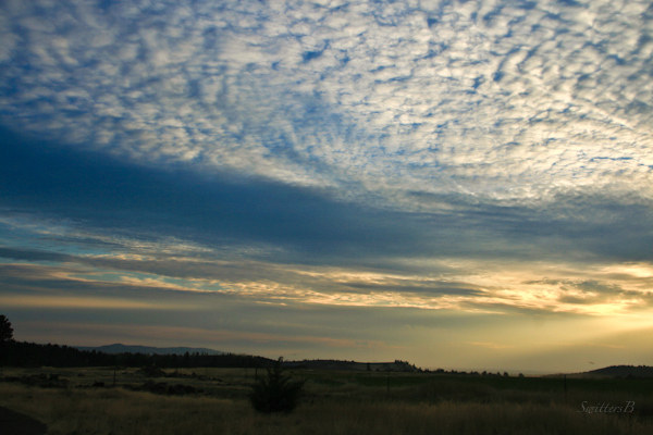 morning sky-desert-Oregon-Photography-SwittersB-5525