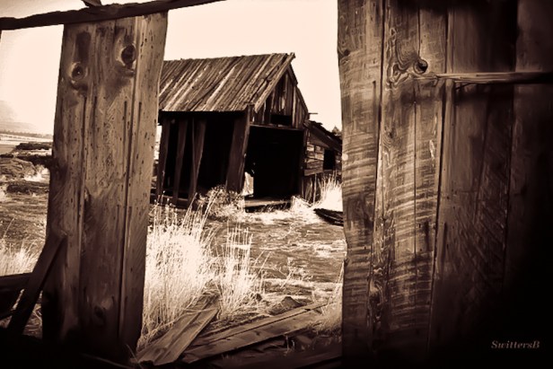 old house-rural-Oregon-lumber-texture-SwittersB