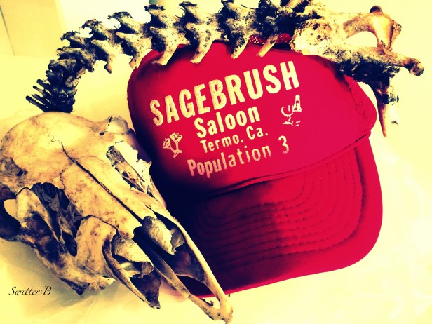 skeleton-thermo cap-bones-SwittersB