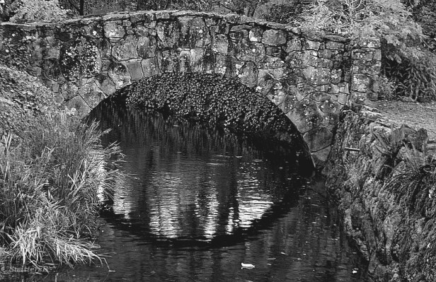 stone bridge brook SwittersB 2