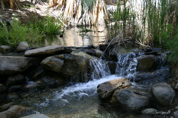 Andreas Creek-Andreas Canyon-desert-SwittersB