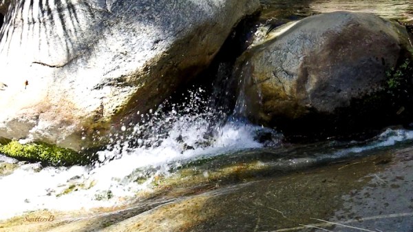 andreas creek-boulders-palm shadow-SwittersB
